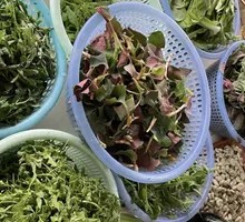 Seasonal Vegetables