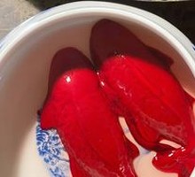 Carp Blood Delicacy