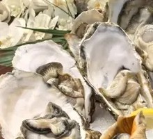 5+ Oyster