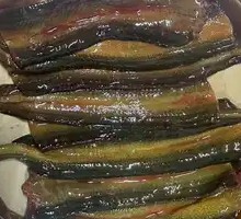 Eel