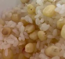 Corn Rice