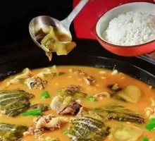 Softshell Turtle Rice
