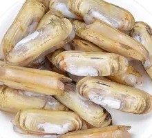 Fresh Clams