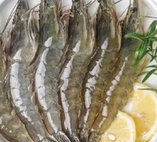 Freshwater Prawn