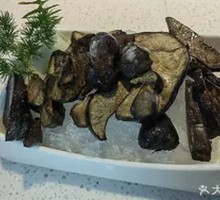 Blue-Hand Mushroom