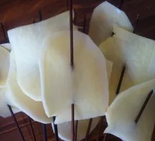 Potato Slices