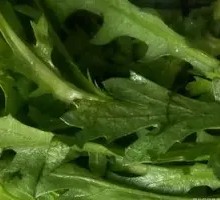Chinese chrysanthemum greens