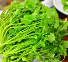 Vegetarian Tripe Rolls with Cilantro