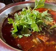 Spicy Eel