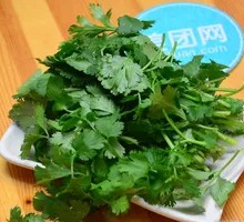 Cilantro