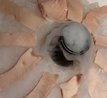 Fresh Pork Tripe