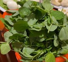 Pea Shoots