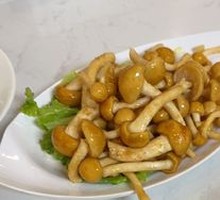 Slippery Mushroom