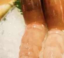 Canadian Snow Crab