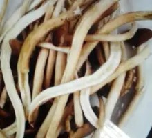 Camphor Tree Mushroom