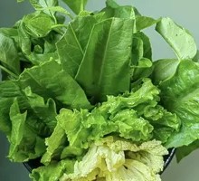 Vegetable Platter