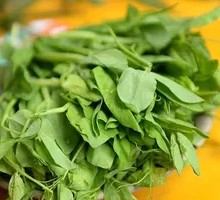 Pea Shoots