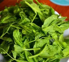 Pea Shoots