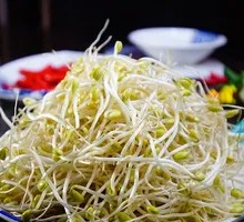 Bean sprouts