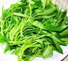 Water spinach