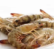 Fresh Tiger Prawns