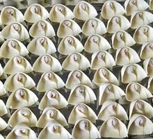Handmade Dumplings