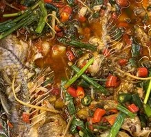 Scallion Crucian Carp