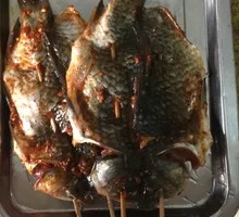 Crucian Carp