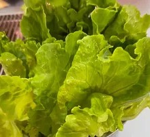 Lettuce