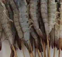 Grilled Shrimp