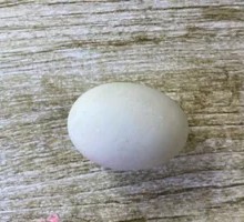 Pickled Salted Egg