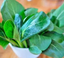Green Vegetables