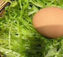 Egg Nest
