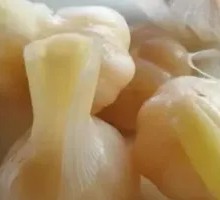 Sweet Pickled Garlic