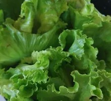 Lettuce
