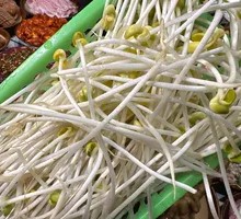 Well Water Bean Sprouts
