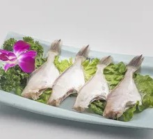 Snakehead Fish