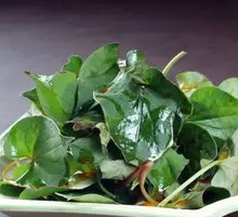 Creeping Charlie Leaves