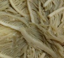 Layered Tripe