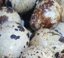 Spicy Braised Quail Eggs