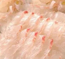 Fresh Fugu Sashimi