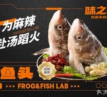 Bighead Carp Head