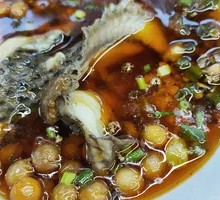 Tilapia