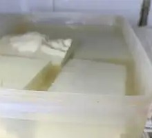 Tofu