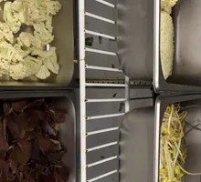 More Than Ten Vegetables Buffet