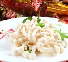 Crisp White Button Mushroom