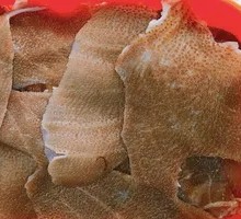Vegetarian Tripe