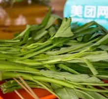 Water spinach