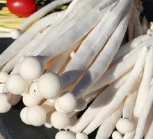 Seafood Mushroom