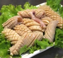 Rocket Squid